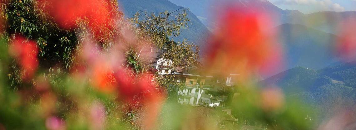 Albergo Al Cervo