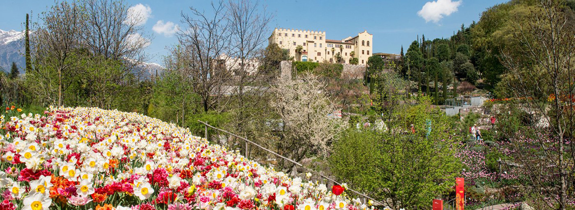 I Giardini di Castel Trauttmansdorff I Giardini di Castel Trauttmansdorff