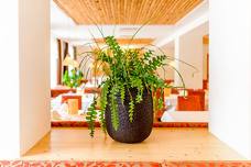 Hotel Melodia del Bosco - Speisesaal