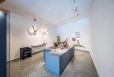 Nationalparkhaus Naturatrafoi - Ausstellung