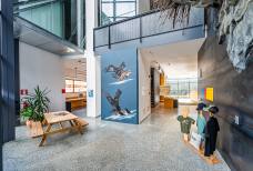 Nationalparkhaus Naturatrafoi - Ausstellung