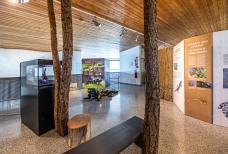 Nationalparkhaus Naturatrafoi - Ausstellung im zweiten Stock