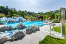 Gartenhotel Moser am See - Schwimmbad