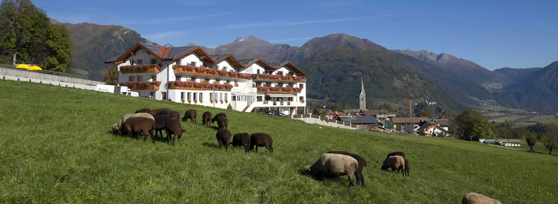 Hotel Lahnerhof Hotel Lahnerhof