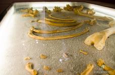 Naturparkhaus Fanes-Sennes-Prags-Dolomiten: Untergeschoss und Ausstellung zum Höhlenbären von Conturines