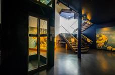 Museum Ladin Ursus ladinicus - Piattaforma elevatrice