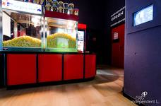 Cinema Odeon Brunico - WC accessibile