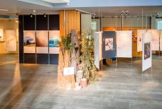 Centro visite Vedrette di Ries-Aurina - Sala esposizione