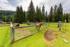 Hotel Tirler - Parco giochi e zoo