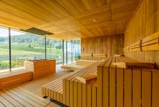 Alpiana SPA - Panorama Sauna