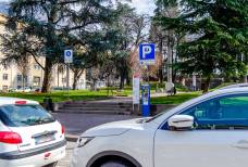 Scala parco