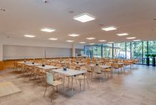 Mensana