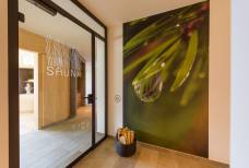 Hotel Fischer - Sauna