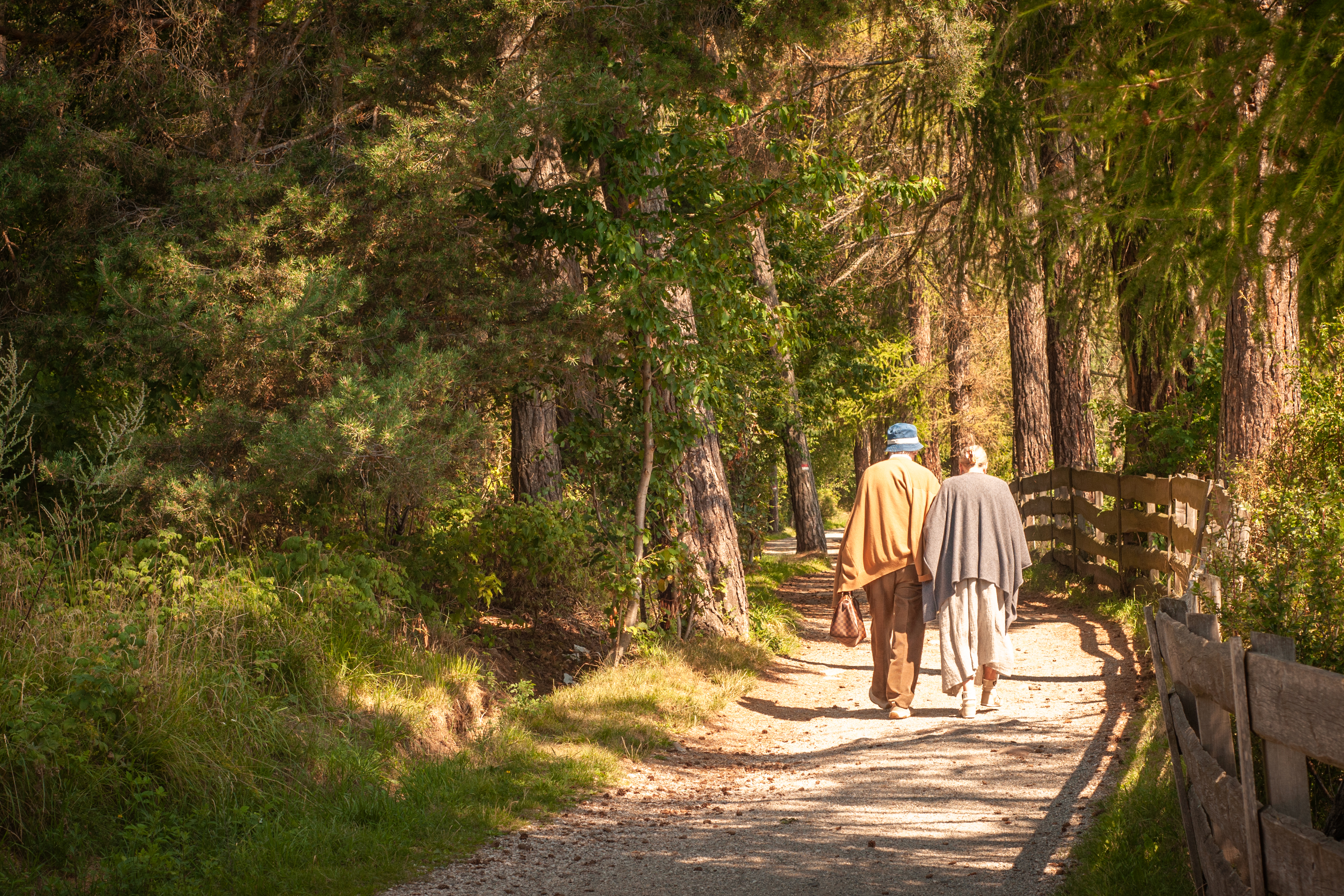 Wanderung am Ritten